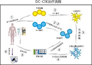 細(xì)胞免疫療法